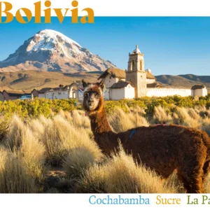 Bolivia Deposit